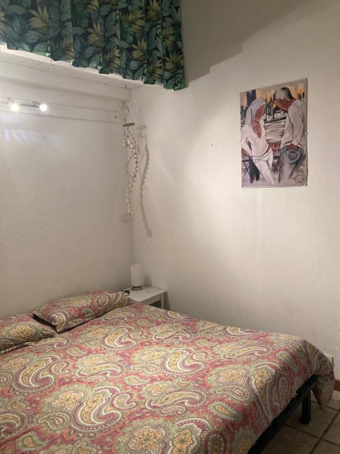 La Coccinelle Bed and Breakfast Nîmes Exteriör bild